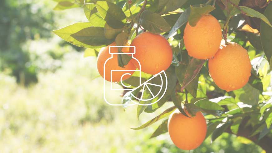 wat weten we over vitamine C